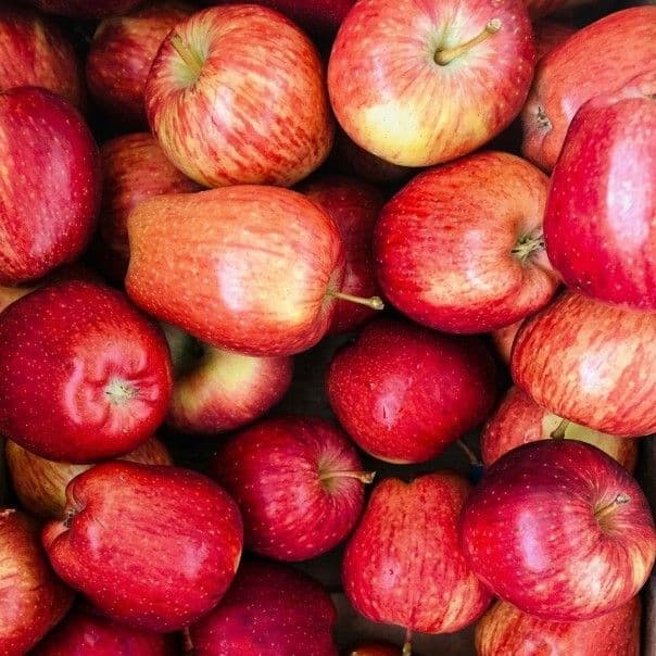 Kashmiri Apples Family Pack