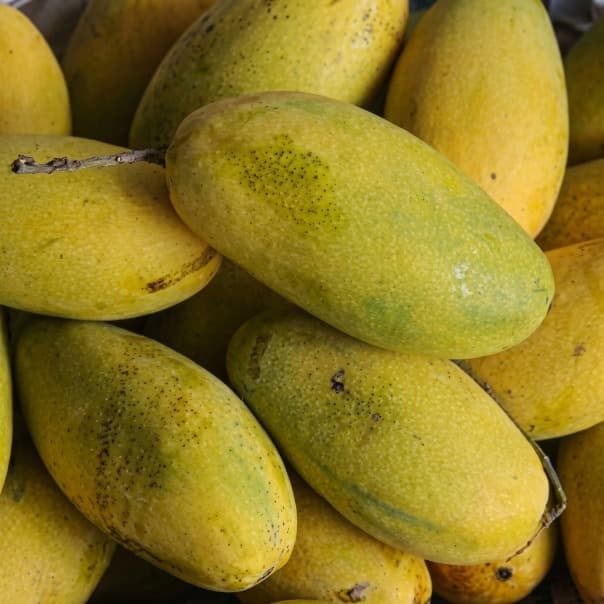 Premium Dasheri Mango Box